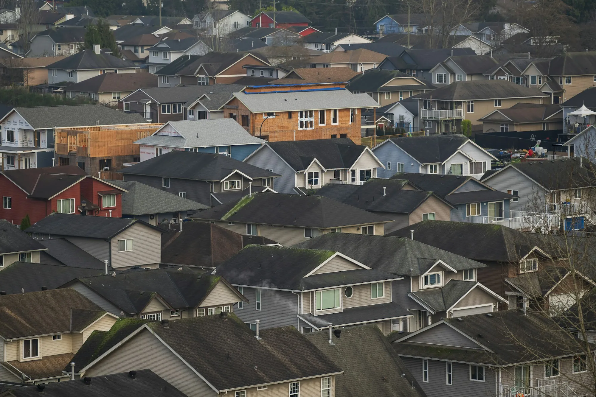 Tightly packed suburban rooftops in a new subdivision